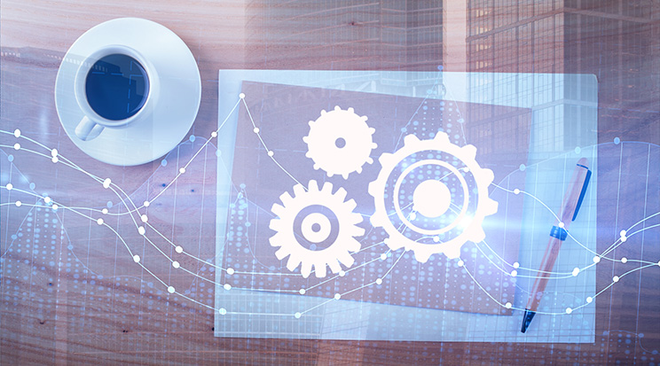 Robust Development Process